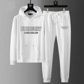 Picture of Burberry SweatSuits _SKUBurberryM-5XLkdtn4427572